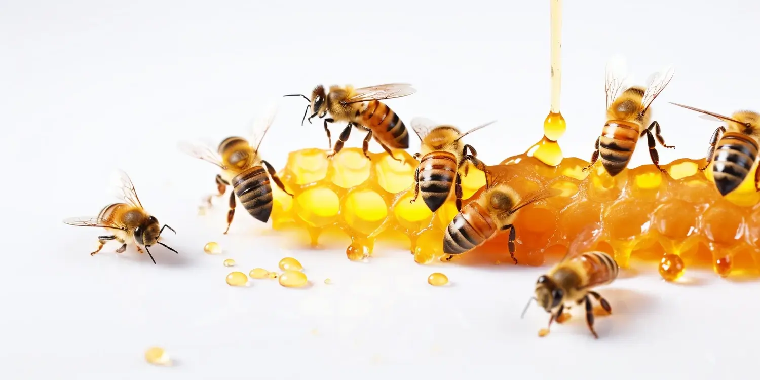 Miód lipowy -- na co?