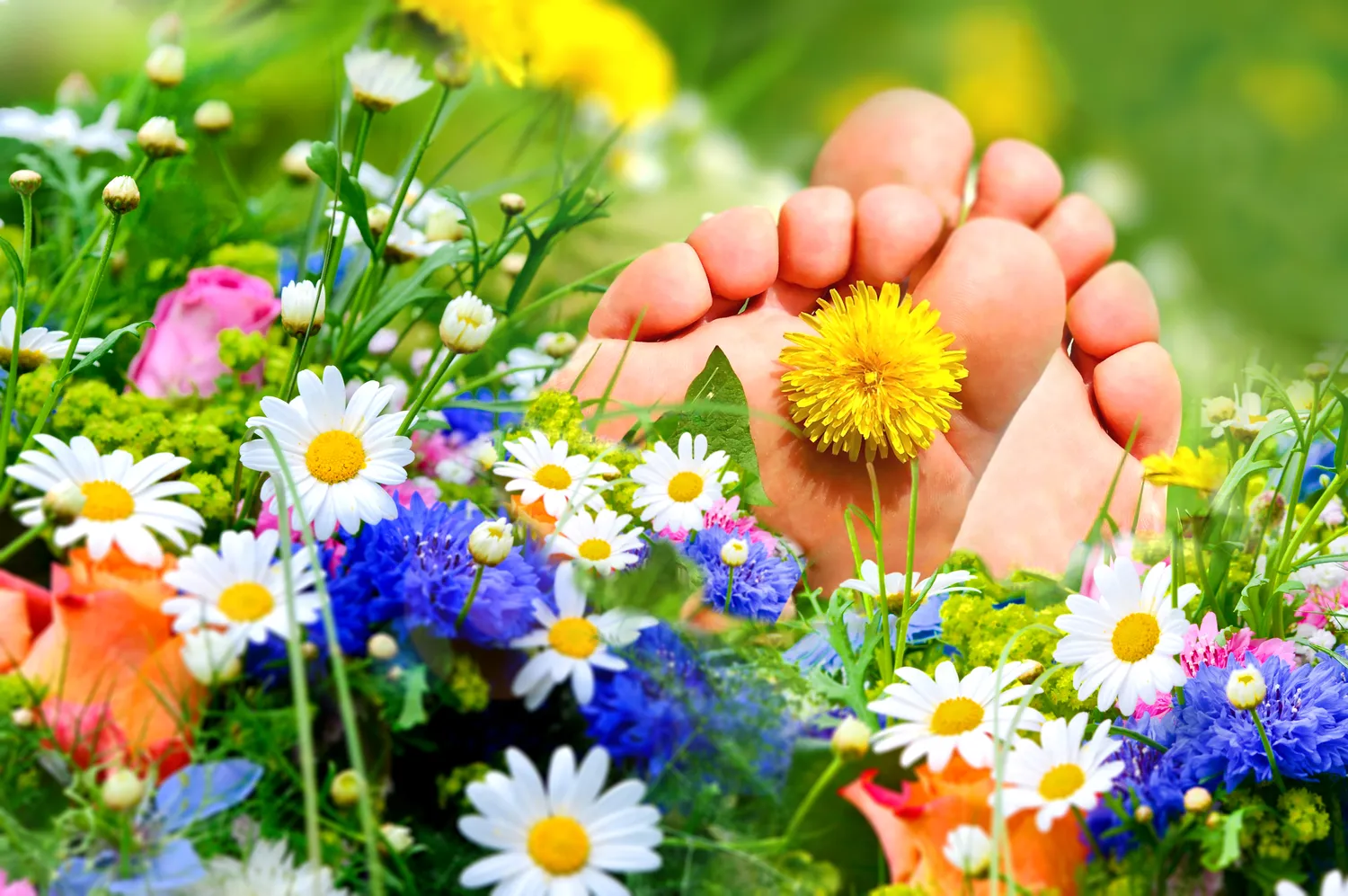 Haluksy - choroba XXI wieku