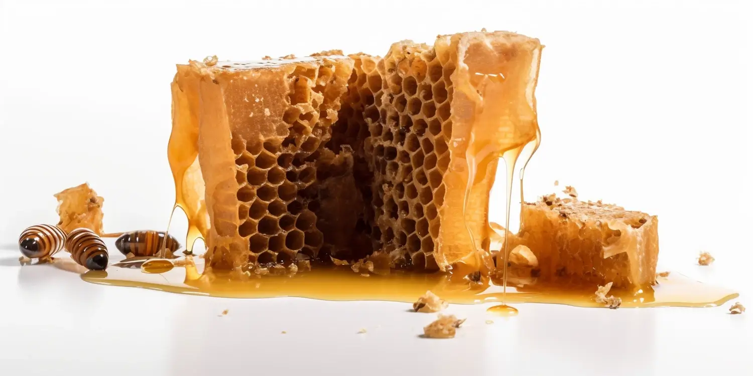 Jak przechowywać miód spadziowy?