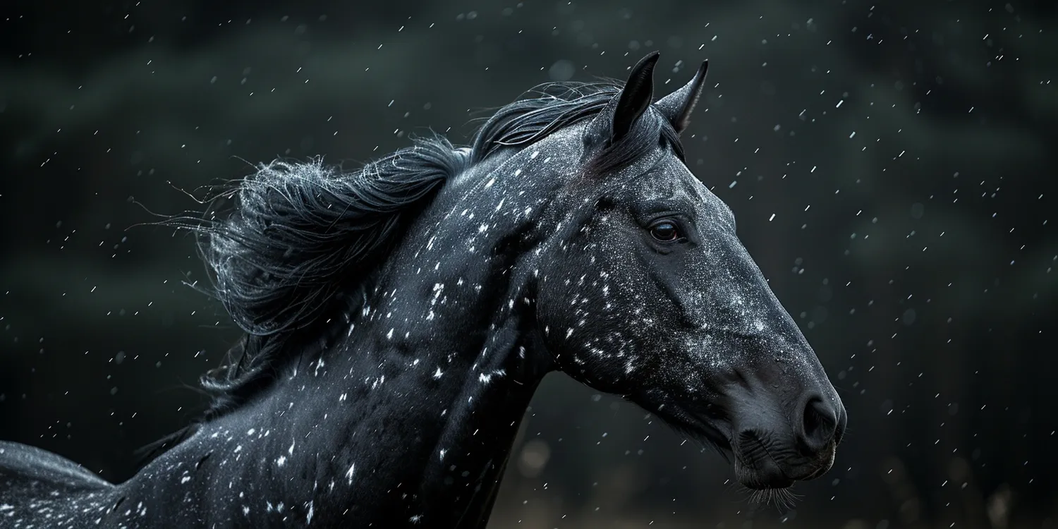 Przewodnik po krematorium dla zwierząt - wszystko o procesie kremacji zwierząt
