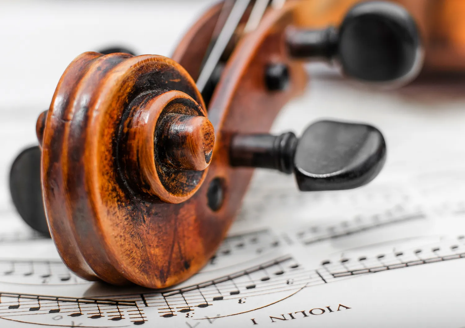 Szkoła terapeutyczna Szczecin