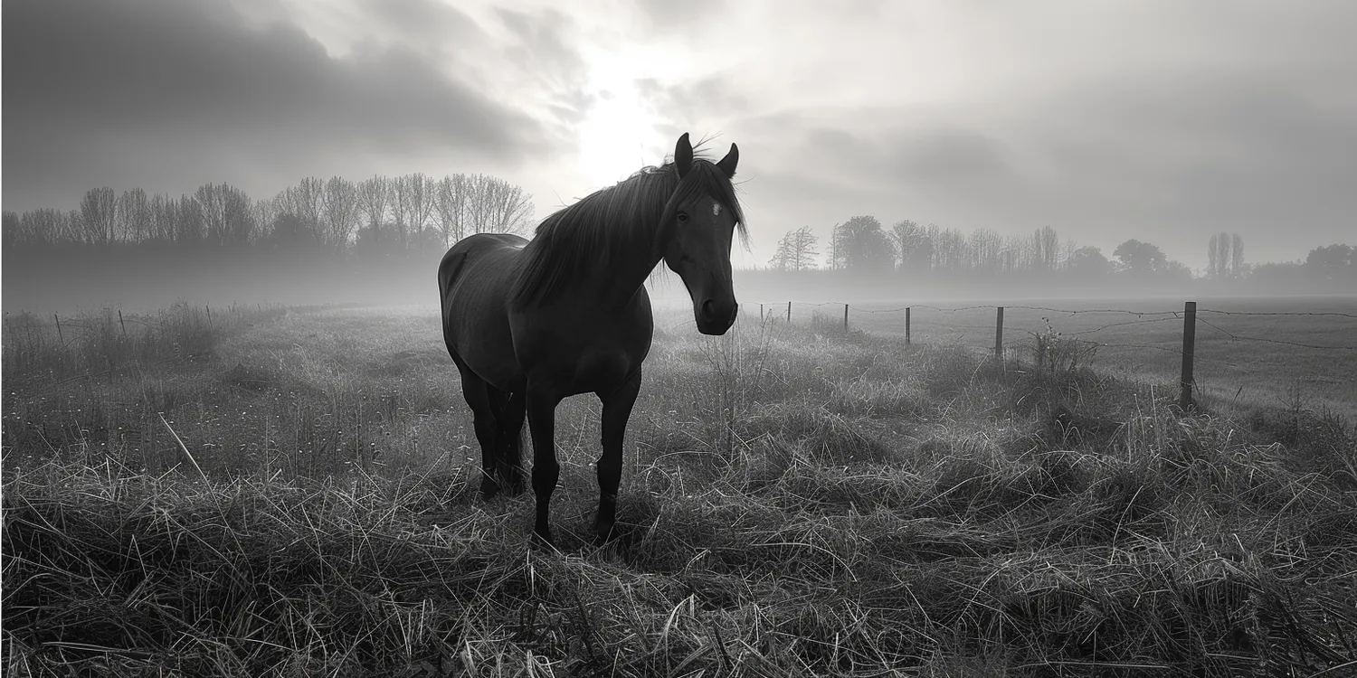 Jak pożegnać się ze swoim pupilem?